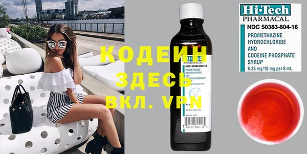 крисы Кодинск