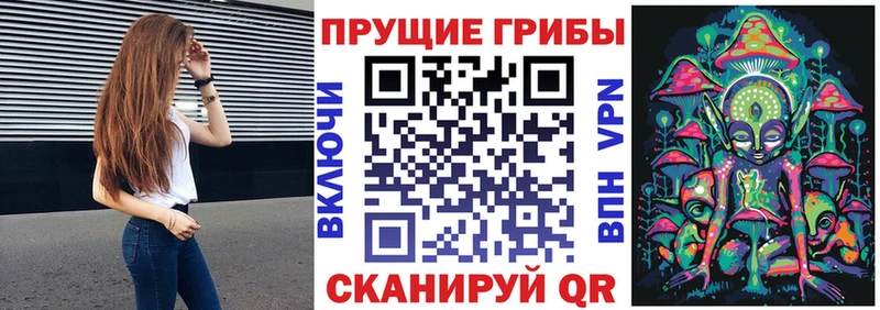 Купить  Лесосибирск  Псилоцибиновые грибы MAGIC MUSHROOMS 